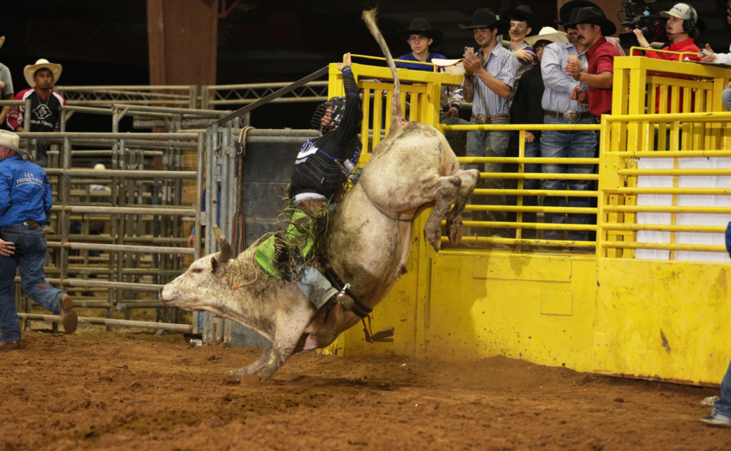 RED, WHITE & BULLS rodeo